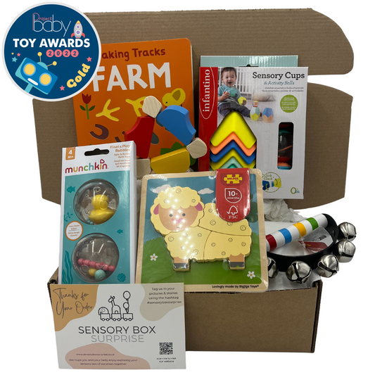 Age 9 - 12 Months Sensory Box | 1 Box in Total  | Free Delivery | One-Time Purchase (Receive One Box Only)