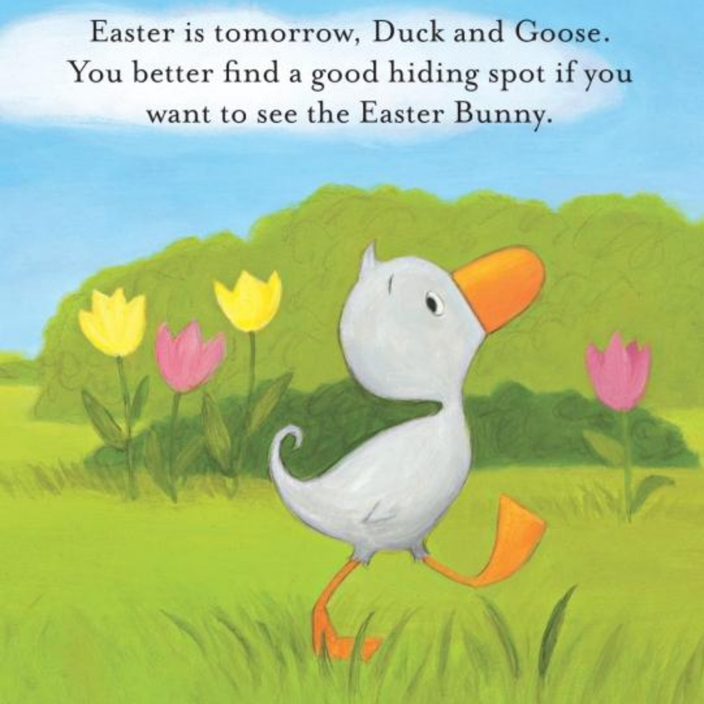 Duck and Goose Here Comes The Easter Bunny Board Book - Interest ages 1-5 Years