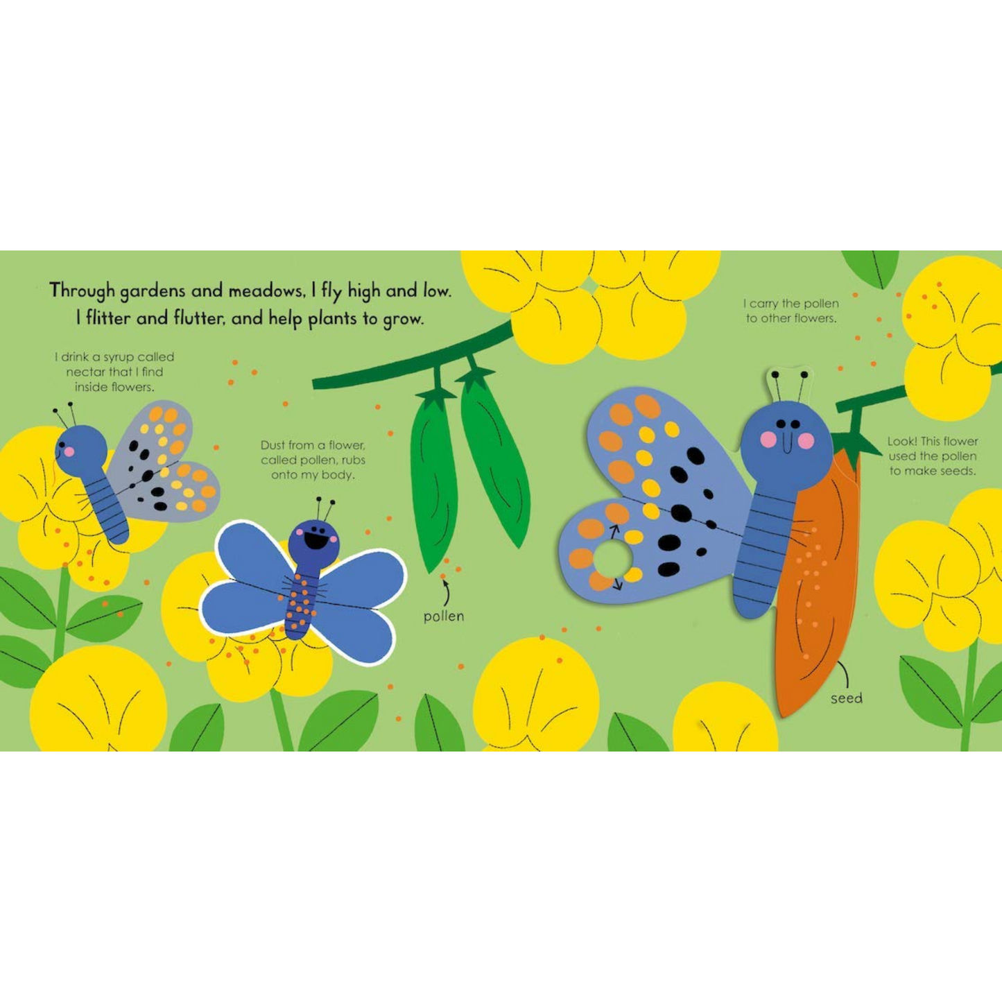 Butterfly My Little Green World Board Book - Interest age 2-5 Years