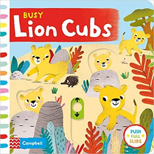 Busy Lion Cubs Push, Pull and Slide Board Book - Interest age 1-4 Years